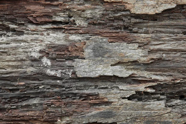 Old Grunge Wooden Texture — Stock Photo, Image