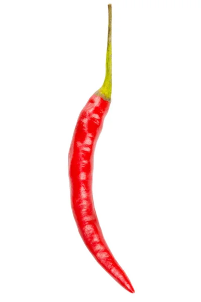 Red Chili Pepper Isolated White Background Clipping Path — Stock Photo, Image