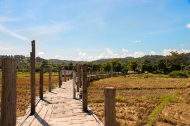 Su Tong Pe köprüsü Tayland 'ın Maehongson bölgesinde bambudan yapılmıştır.) 