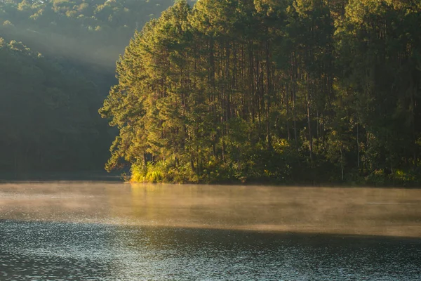 Sabah Pang-ung, Mae Hong Son, Tayland 'da göldeki ormanın sakin manzarası - seçici odaklanma.