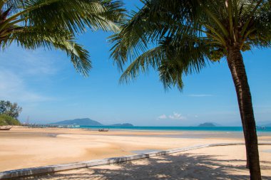 Rahatlatıcı sahne, Hindistan cevizi palmiyeli tropikal plaj