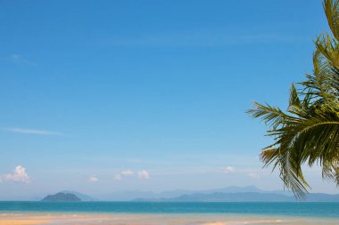 Rahatlatıcı sahne, Hindistan cevizi palmiyeli tropikal plaj