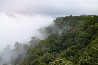 Dağ sisi gökyüzü bulutları sabah manzarası. Güzel manzara..