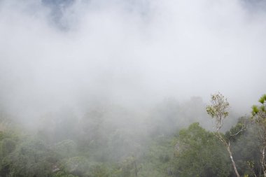 Dağ sisi gökyüzü bulutları sabah manzarası. Güzel manzara..