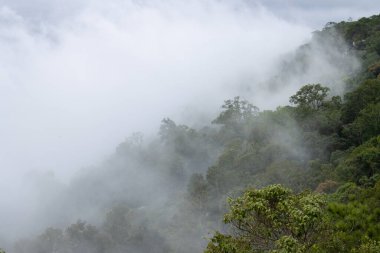 Dağ sisi gökyüzü bulutları sabah manzarası. Güzel manzara..