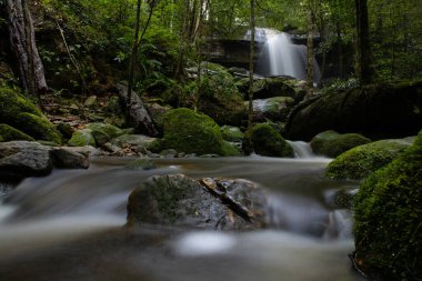 Güzel şelale manzarası. Ormanda Şelale.