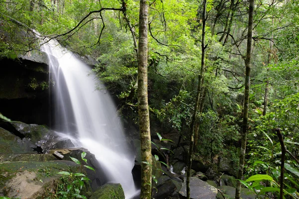 Bela Paisagem Cachoeira Cachoeira Floresta — Fotografia de Stock