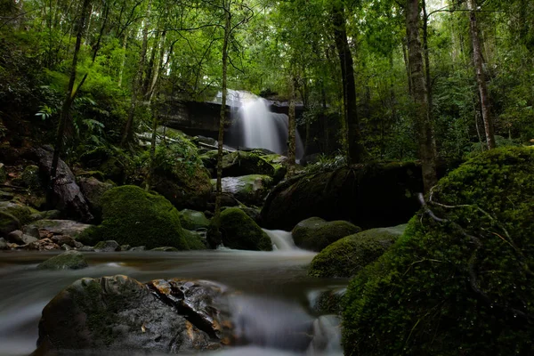 Красивый Водопад Водопад Лесу — стоковое фото