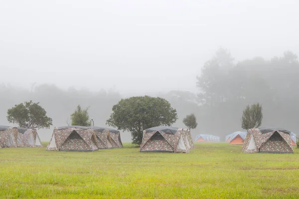 Кемпинг Палатка Природе Утром Туманом — стоковое фото