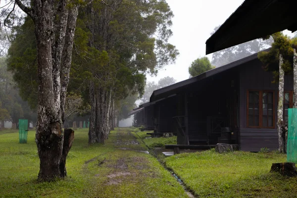 Bahçesinde ağaç olan yürüyüş yolu, Güzellik doğası sahnesi..