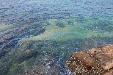 Sahilde taşlı deniz ve sahil