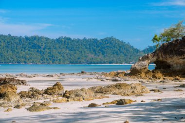 Güzel bir manzara, tropikal deniz ve sahil. Koh phayam 'da mavi gökyüzü arka planlı. Güneydoğu Asya Tayland' da.