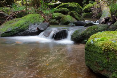 Güzel şelale manzara - seçici odak.