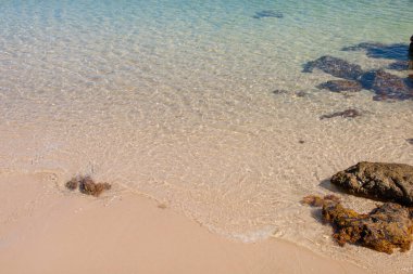 güzel bir manzara, tropikal deniz ve plaj