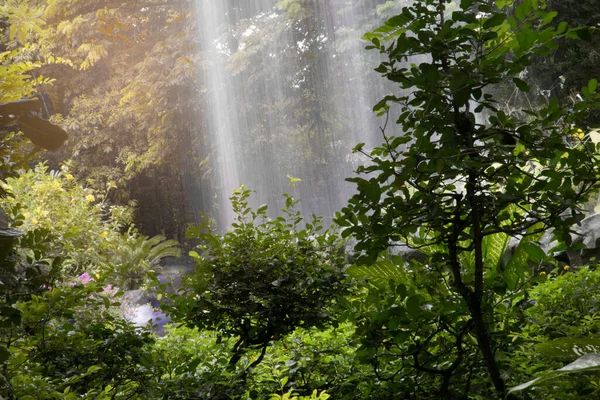Waterfall Forest — Stock Photo, Image