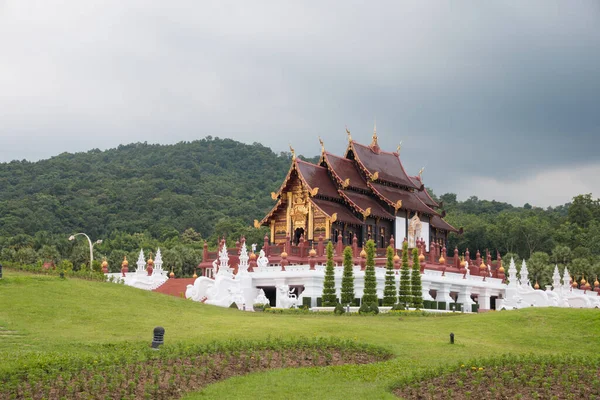 Chiang Mai Kraliyet Flora Ratchaphruek Parkı Tayland — Stok fotoğraf