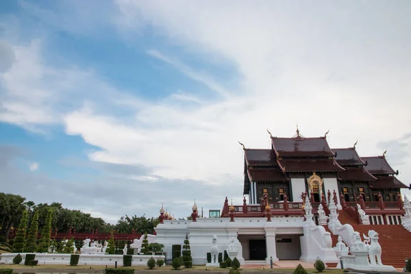 Королівський Флори Ratchaphruek Парк Чіанг Май Таїланд — стокове фото