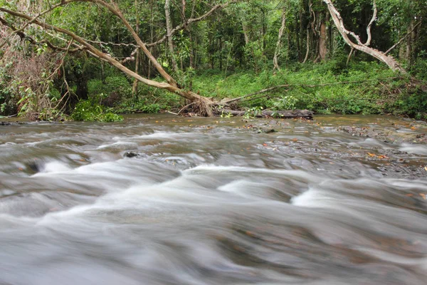 Hermoso Paisaje Sereno Arroyo Agua Montaña Que Fluye Bosque Verde — Foto de Stock