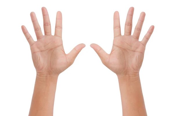 白い背景に孤立した10本の指を示す手 クリッピングパス — ストック写真