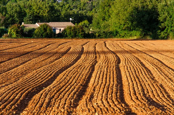 Gepflügtes Feld in der Provence — Stockfoto