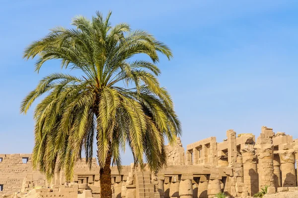 Templo de Karnak em Luxor, Egito. — Fotografia de Stock