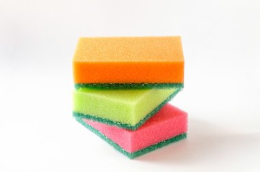 Üç renkli süngerler