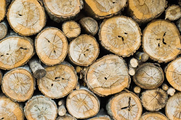 Montón de troncos de madera —  Fotos de Stock