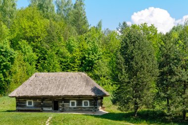 tipik bir Ukraynalı antika ev