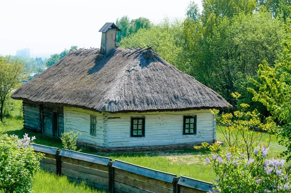 Типичный украинский антикварный дом — стоковое фото