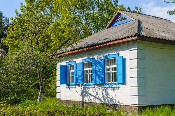 Uma típica casa de antiguidades ucraniana — Fotografia de Stock