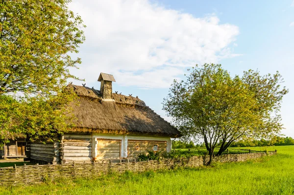 Une maison antique ukrainienne typique — Photo