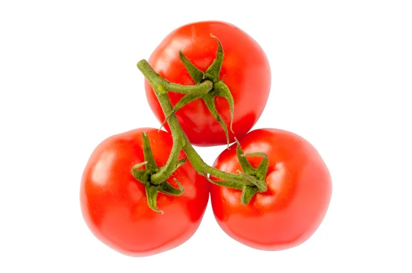 Три помідори на білому тлі — стокове фото