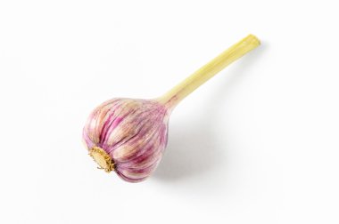 uzun SAP taze genç pembe sarımsak