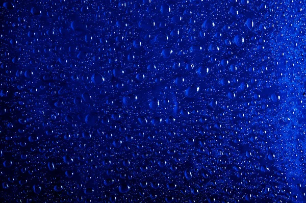 Denon Blue — стоковое фото