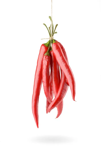 Hanged Chili Peppers — Stock Photo, Image