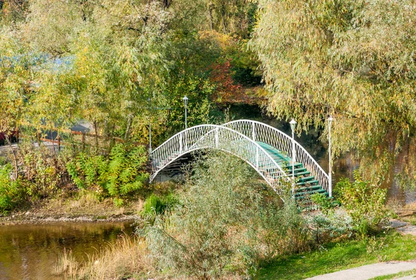 Petit pont dans le parc — Photo