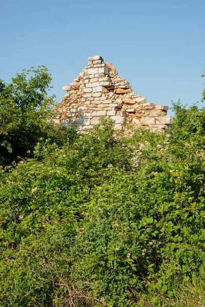 意大利塞萨内山区的一座旧石屋的废墟 靠近皮萨罗和乌尔比诺 各种各样的植物 如扫帚和其他草本的呻吟 — 图库照片