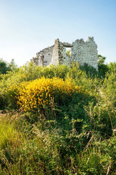 Ruína Uma Antiga Casa Pedra Nas Montanhas Cesane Itália Marche — Fotografia de Stock