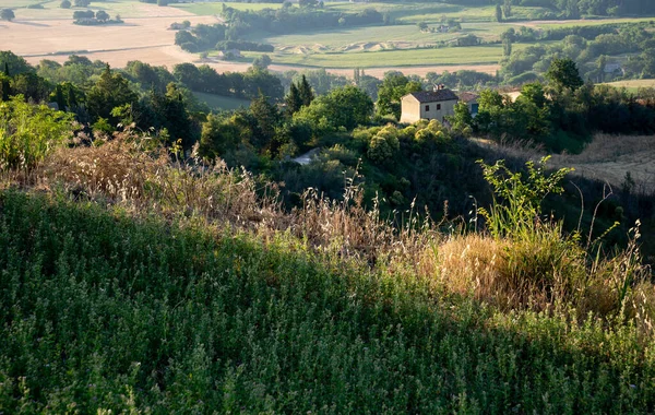 House Hill Belverdere Fogliense Province Pesaro Urbino Right Sunrise — Stock Photo, Image