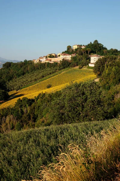 View Belvedere Fogliense Little Village Hill Pesaro Urbino Montefeltro Region — Fotografia de Stock