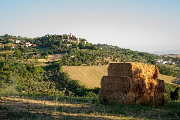 Widok Montegridolfo Zabytkową Wioskę Regionie Emilia Romania Włoszech Pola Uprawne — Zdjęcie stockowe