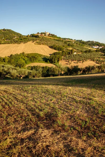 View Montegridolfo Antique Village Emilia Romagna Region Italy Cultivated Fields —  Fotos de Stock