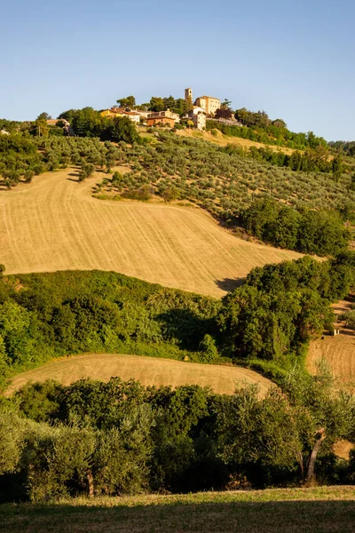 View Montegridolfo Antique Village Emilia Romagna Region Italy Cultivated Fields — Zdjęcie stockowe