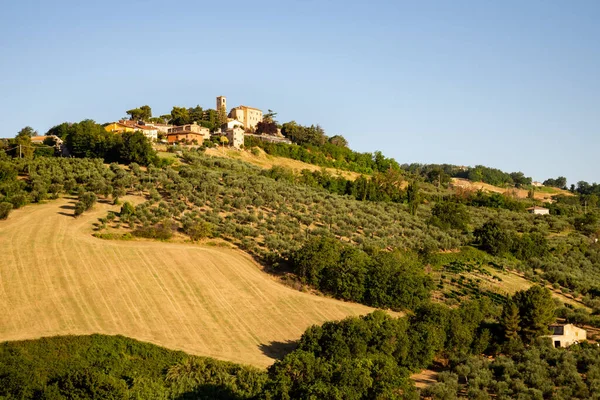 View Montegridolfo Antique Village Emilia Romagna Region Italy Cultivated Fields —  Fotos de Stock