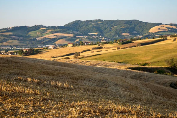 Widok Pola Pobliżu Tavullia Prowincji Pesaro Urbino Regionie Marche Włoszech — Zdjęcie stockowe