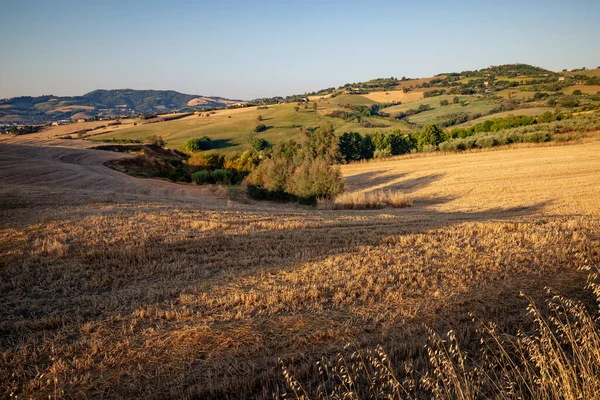 View Fields Tavullia Pesaro Urbino Province Marche Region Italy Morning — Fotografia de Stock