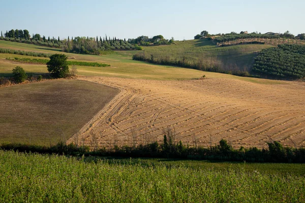 Widok Pola Pobliżu Tavullia Prowincji Pesaro Urbino Regionie Marche Włoszech — Zdjęcie stockowe