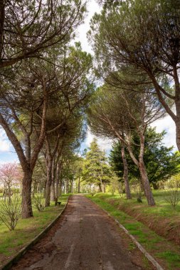 Baharın başında, Pesaro, Marche, İtalya 'da, Parco della Pace (Barış Parkı) manzarası