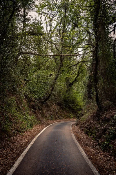 ペサロからサン バルトロ山への道 — ストック写真