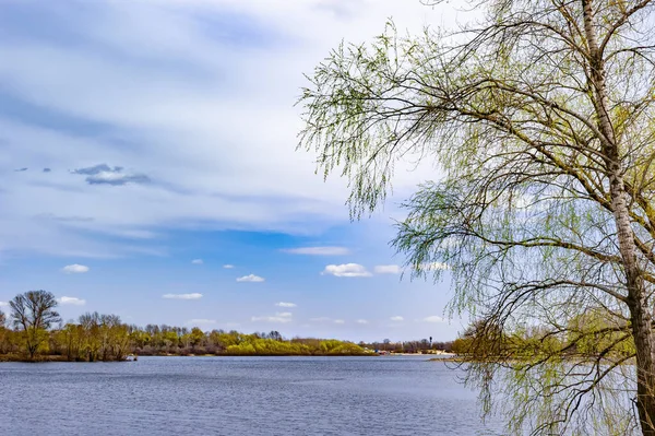 Utsikt Över Pilträd Nära Floden Dnepr Kiev Ukraina Varm Och — Stockfoto